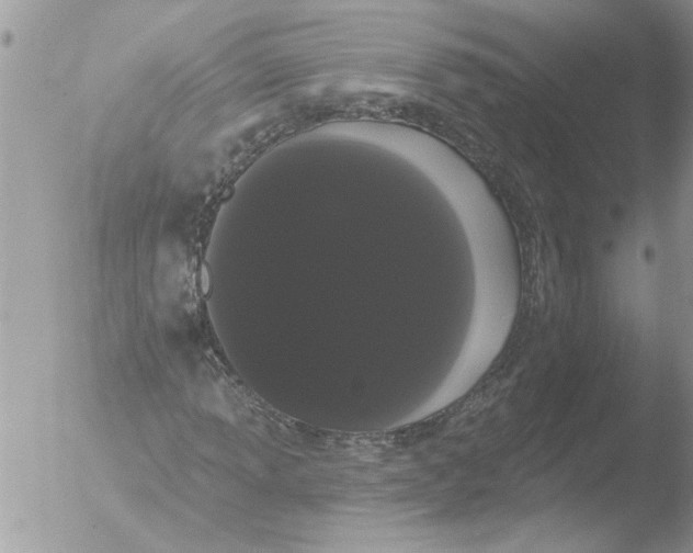 X0000051921013200507152051