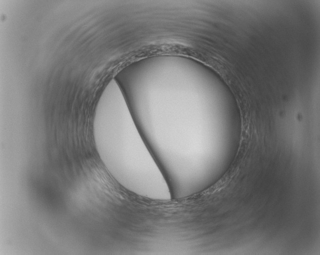 X0000051921014200507152051