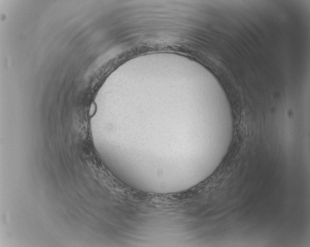 X0000051921015200507152051