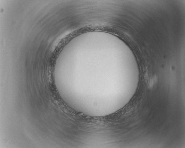 X0000051921016200507152051