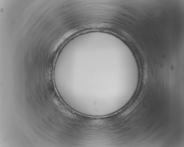 X0000051921017200507152051