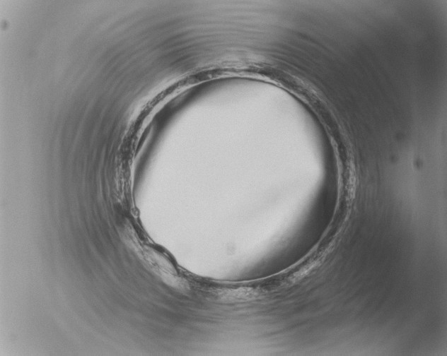 X0000051921018200507152051