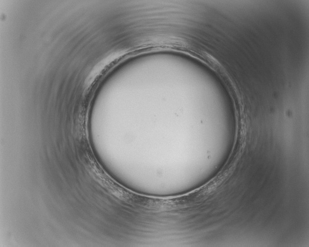 X0000051921019200507152051