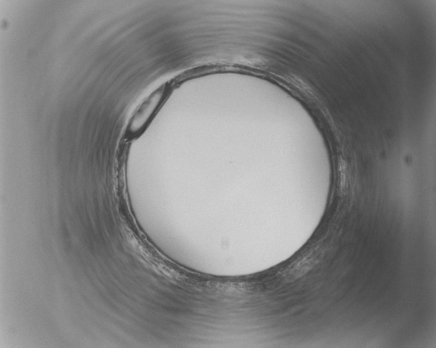 X0000051921020200507152051