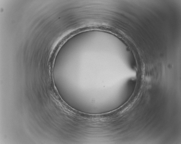 X0000051921021200507152051