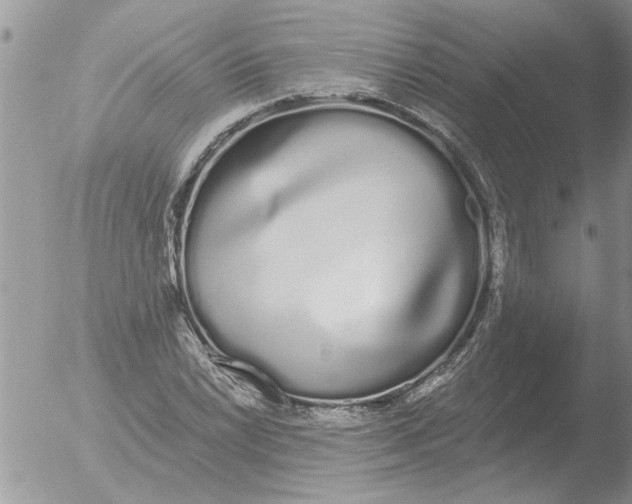 X0000051921022200507152051