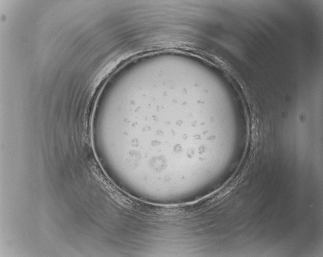 X0000051921023200507152051