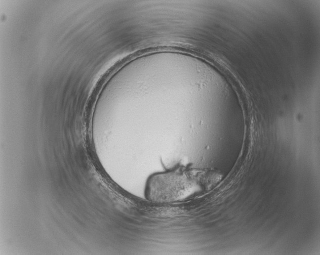 X0000051921024200507152051