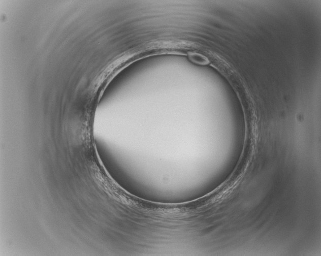 X0000051921025200507152051