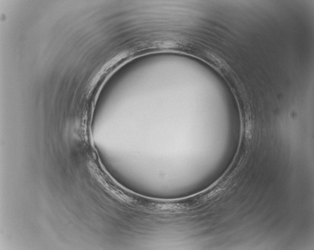 X0000051921026200507152051