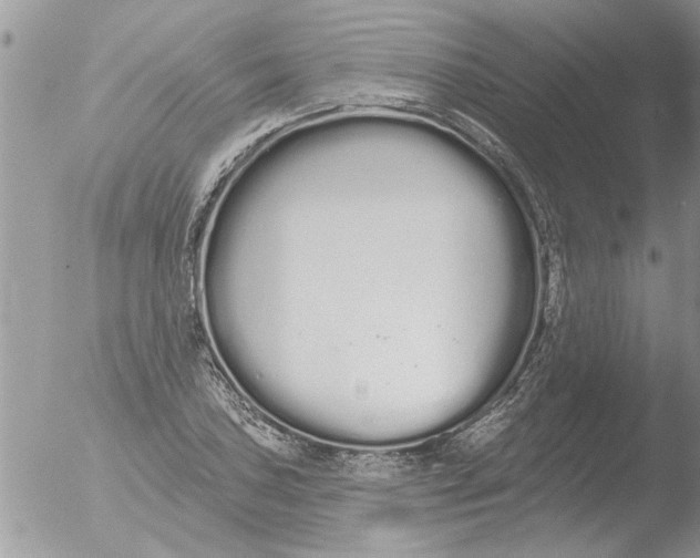 X0000051921027200507152051