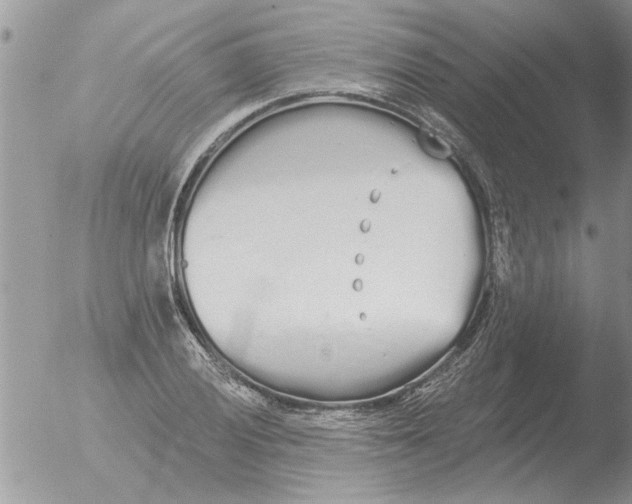 X0000051921028200507152051