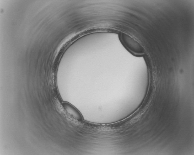 X0000051921029200507152051