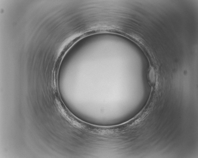 X0000051921030200507152051