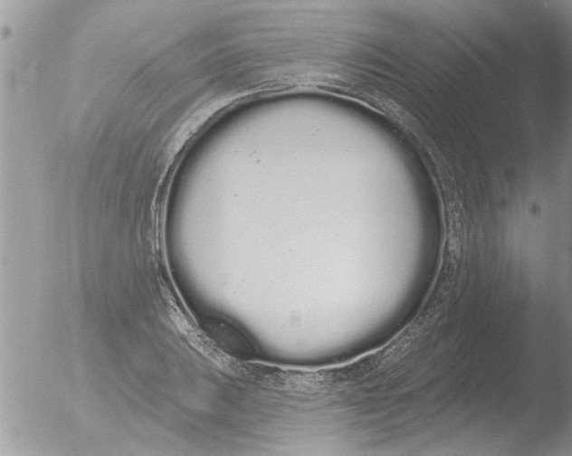 X0000051921031200507152051