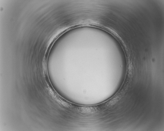 X0000051921032200507152051