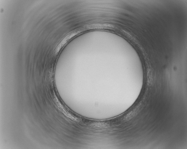 X0000051921033200507152051