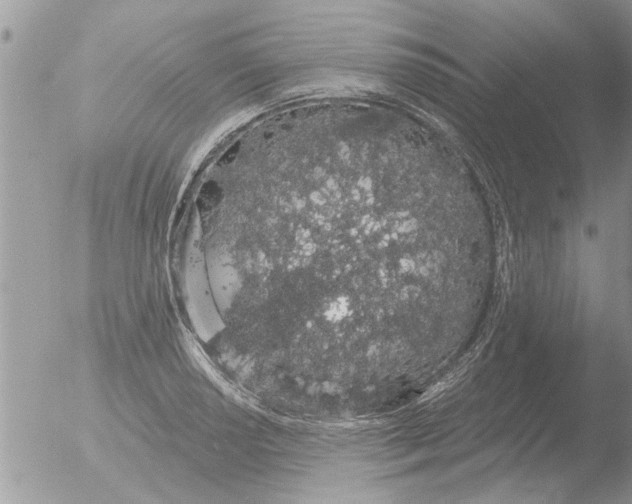 X0000051921034200507152051