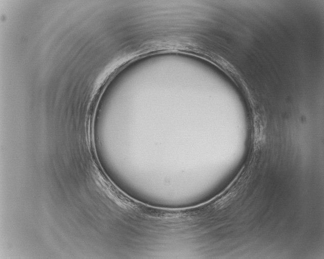 X0000051921035200507152051