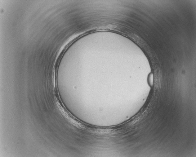 X0000051921036200507152051