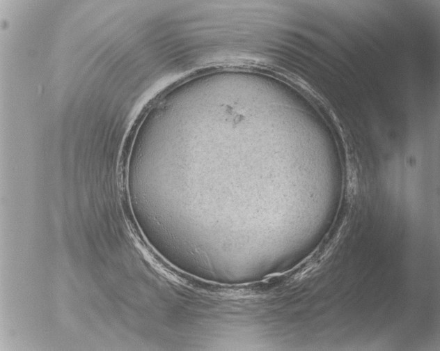 X0000051921037200507152051