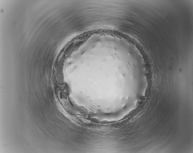 X0000051921038200507152051