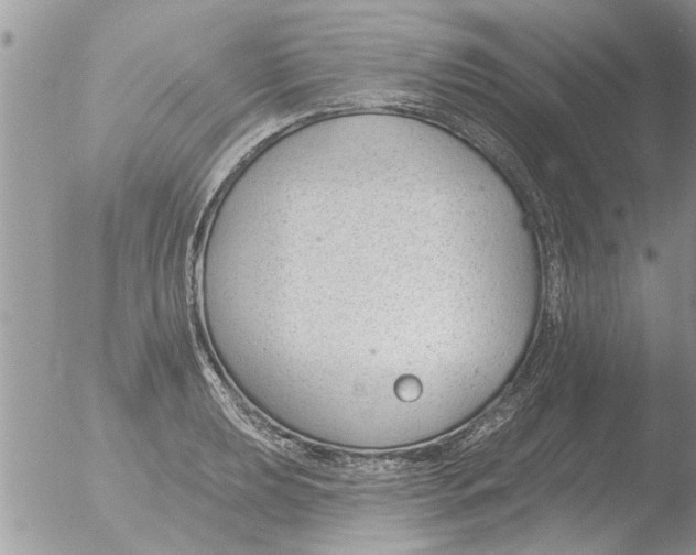 X0000051921039200507152051