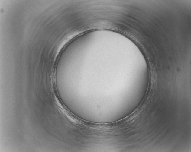 X0000051921040200507152051