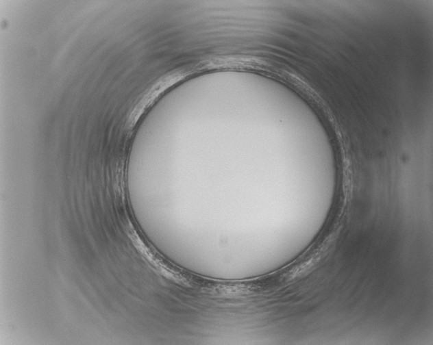 X0000051921041200507152052