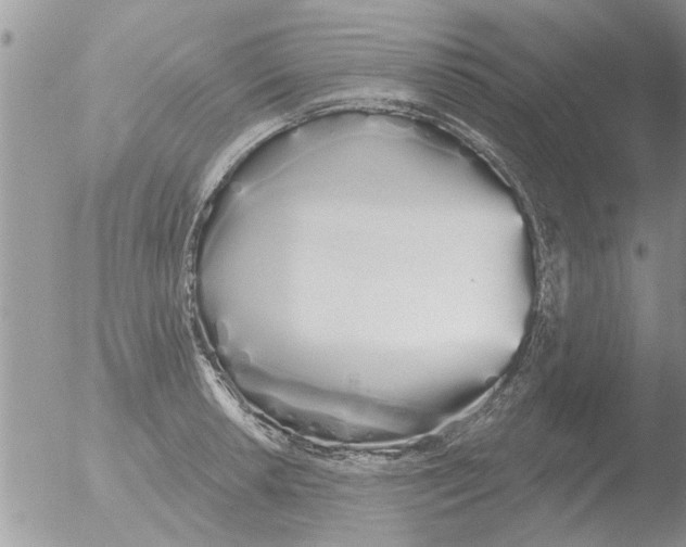 X0000051921042200507152052