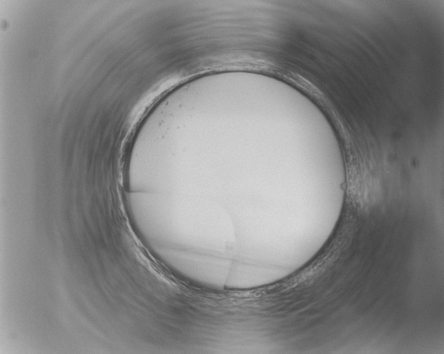 X0000051921043200507152052