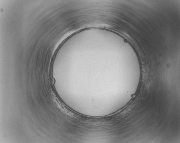 X0000051921044200507152052