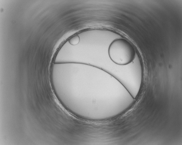 X0000051921045200507152052