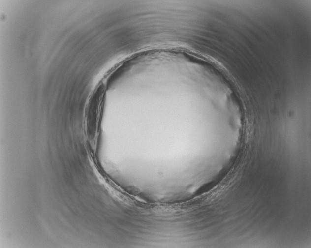 X0000051921046200507152052