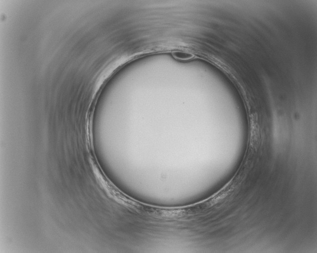 X0000051921047200507152052