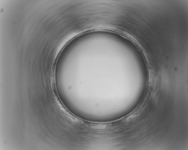 X0000051921048200507152052