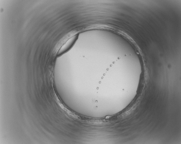 X0000051921049200507152052