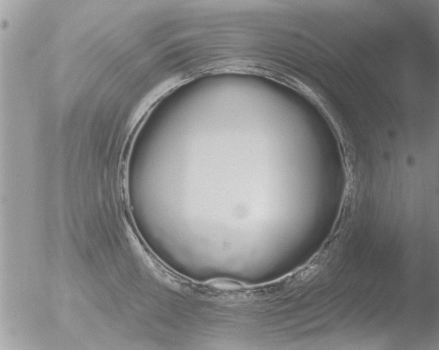 X0000051921050200507152052