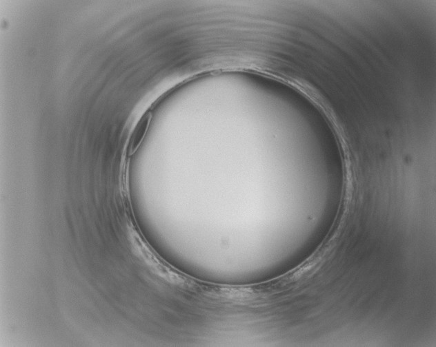 X0000051921052200507152052