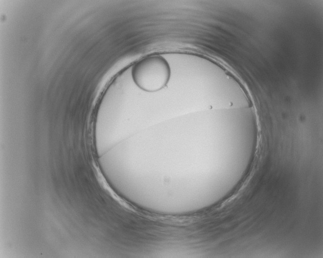 X0000051921053200507152052