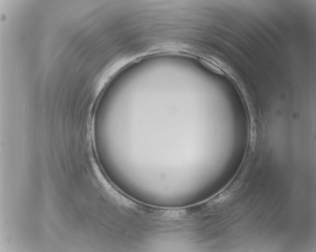 X0000051921055200507152052