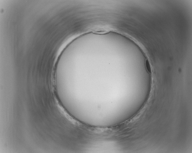 X0000051921056200507152052