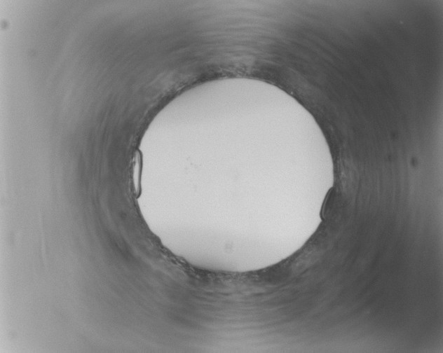 X0000051921057200507152051