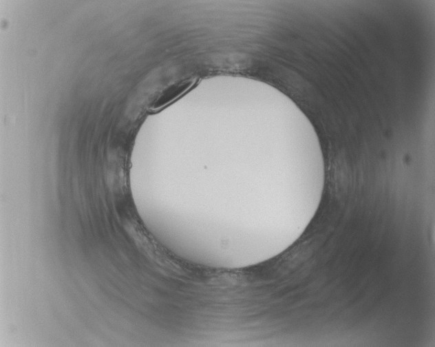 X0000051921058200507152051