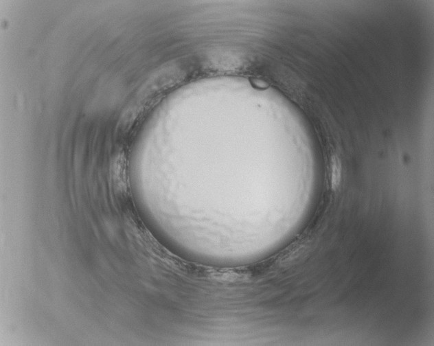 X0000051921059200507152051