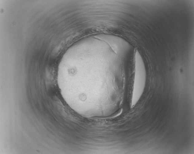 X0000051921060200507152051