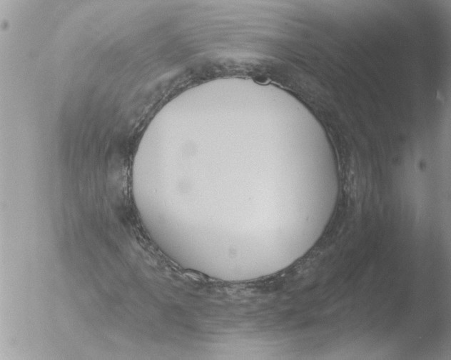 X0000051921061200507152051