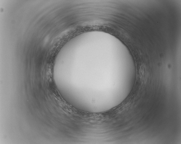 X0000051921062200507152051