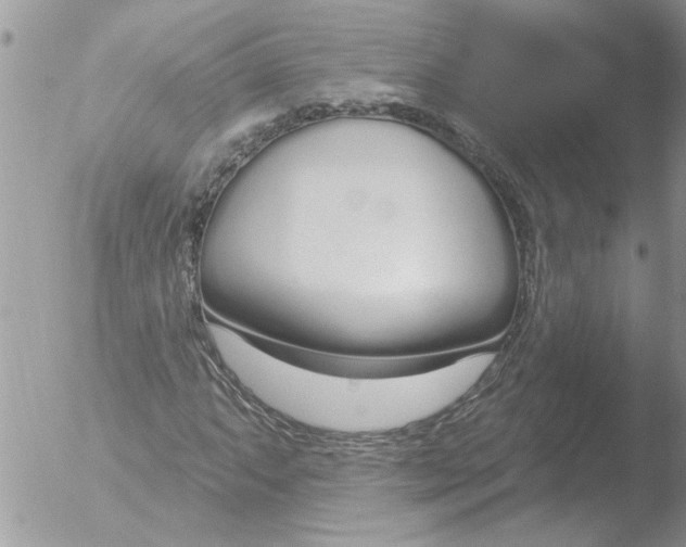 X0000051921063200507152051