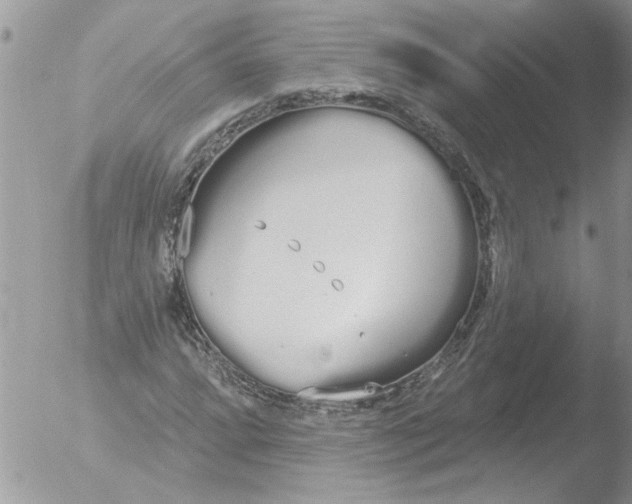 X0000051921064200507152051